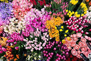 《战神》总监表示十分期待《星空》 发售后将会请假去体验