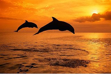 《最终幻想起源》新系统情报 上位职业及铁匠等公开